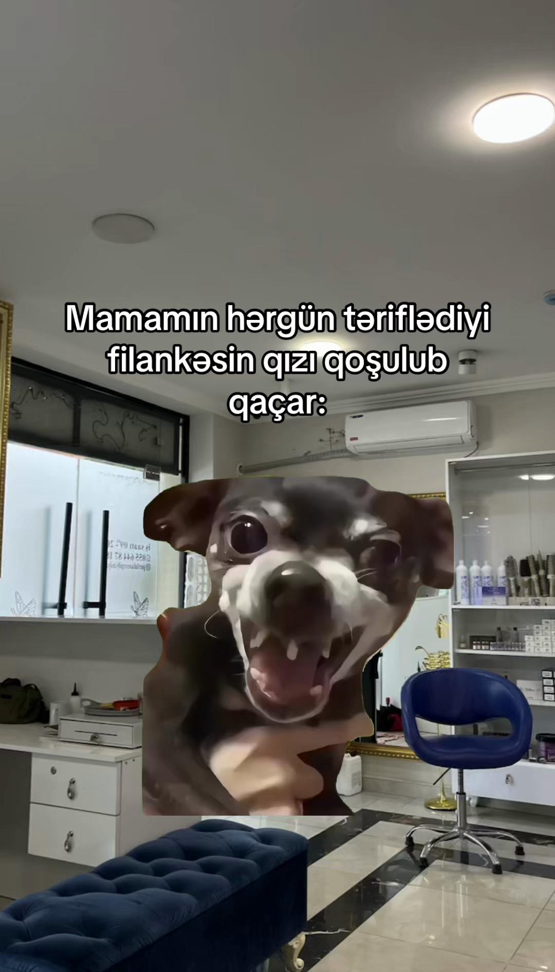 @pryvx.262