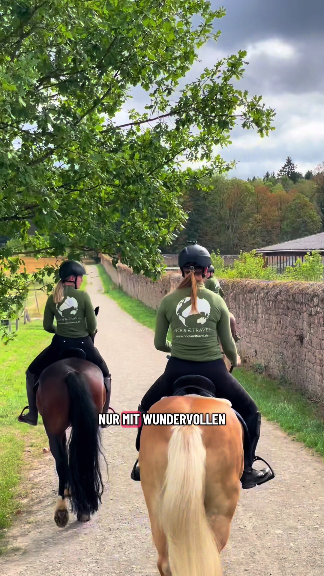 @Hoof & Travel 🐴🌍🐘
