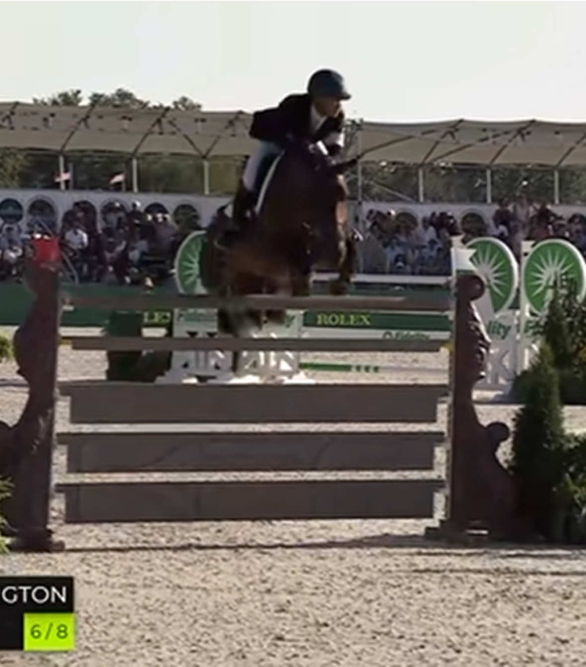 @Major League Show Jumping