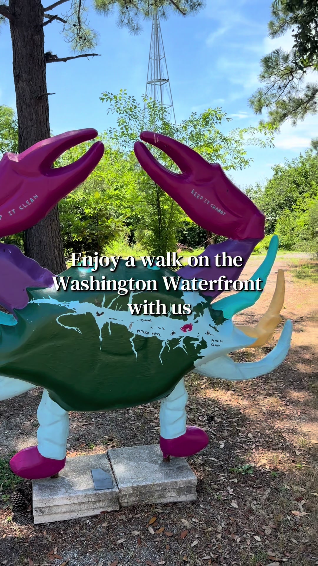 @homewithvirginia