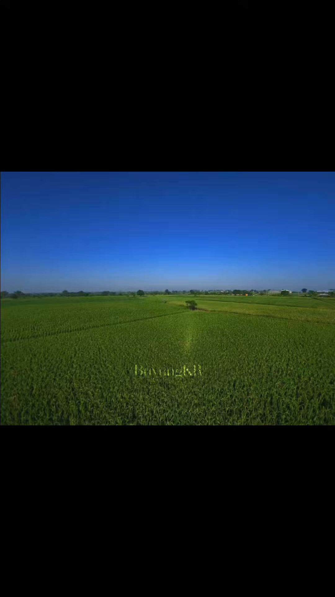 @BuyungKR.FPV