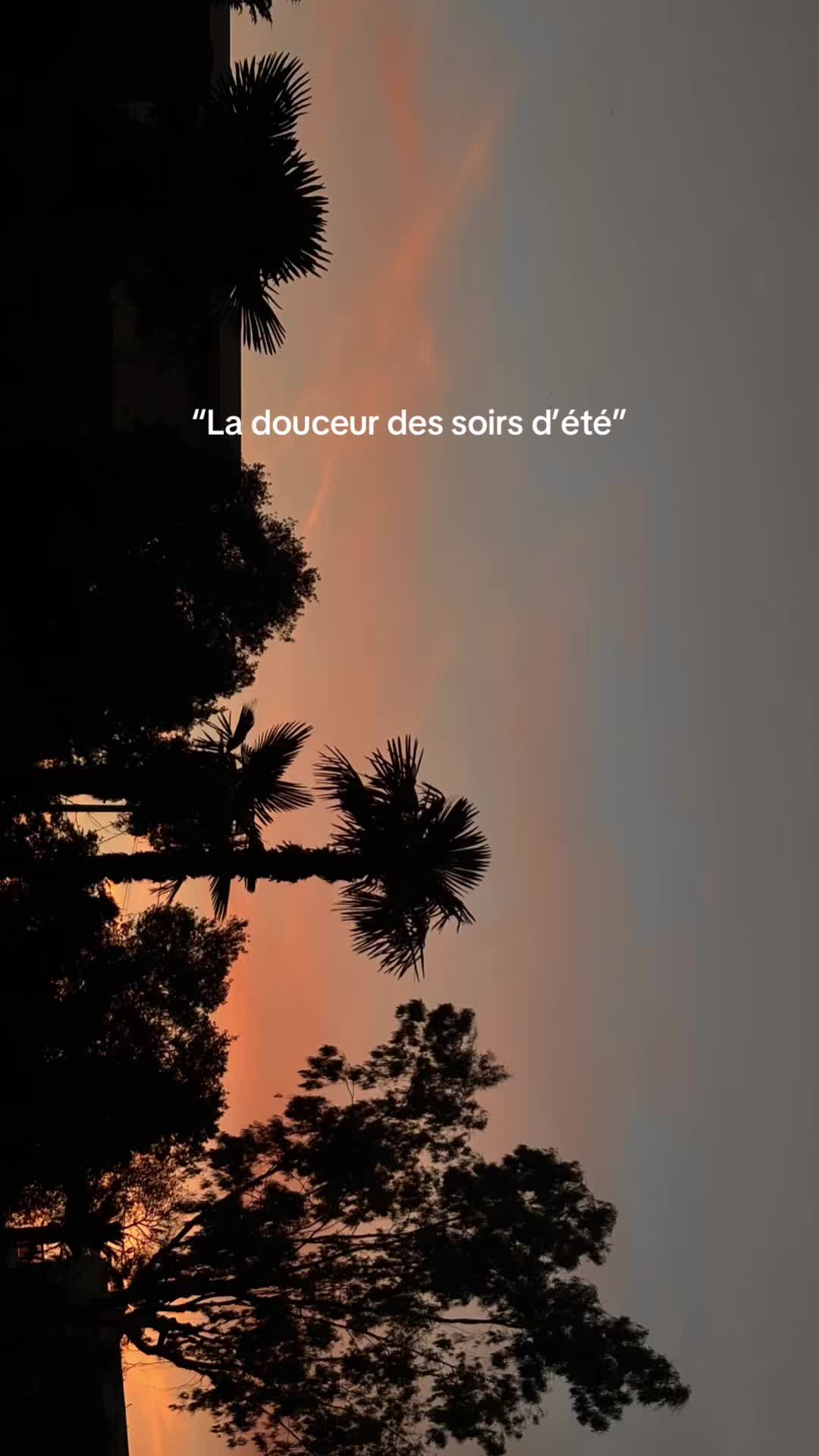 @marionxschoen
