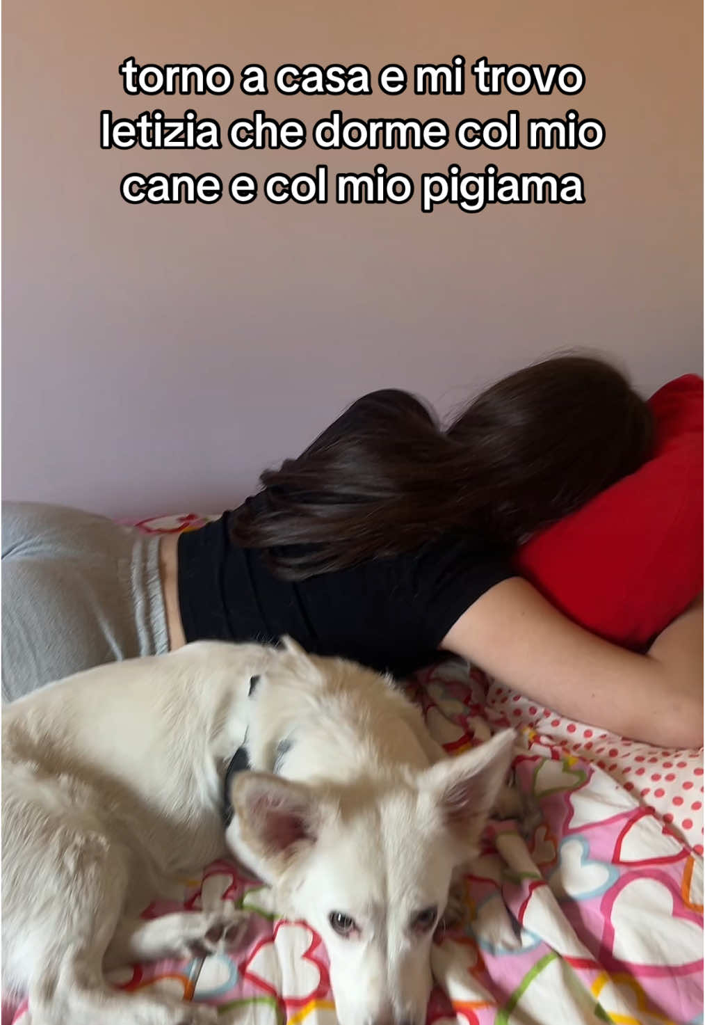 @bea&leti&ale