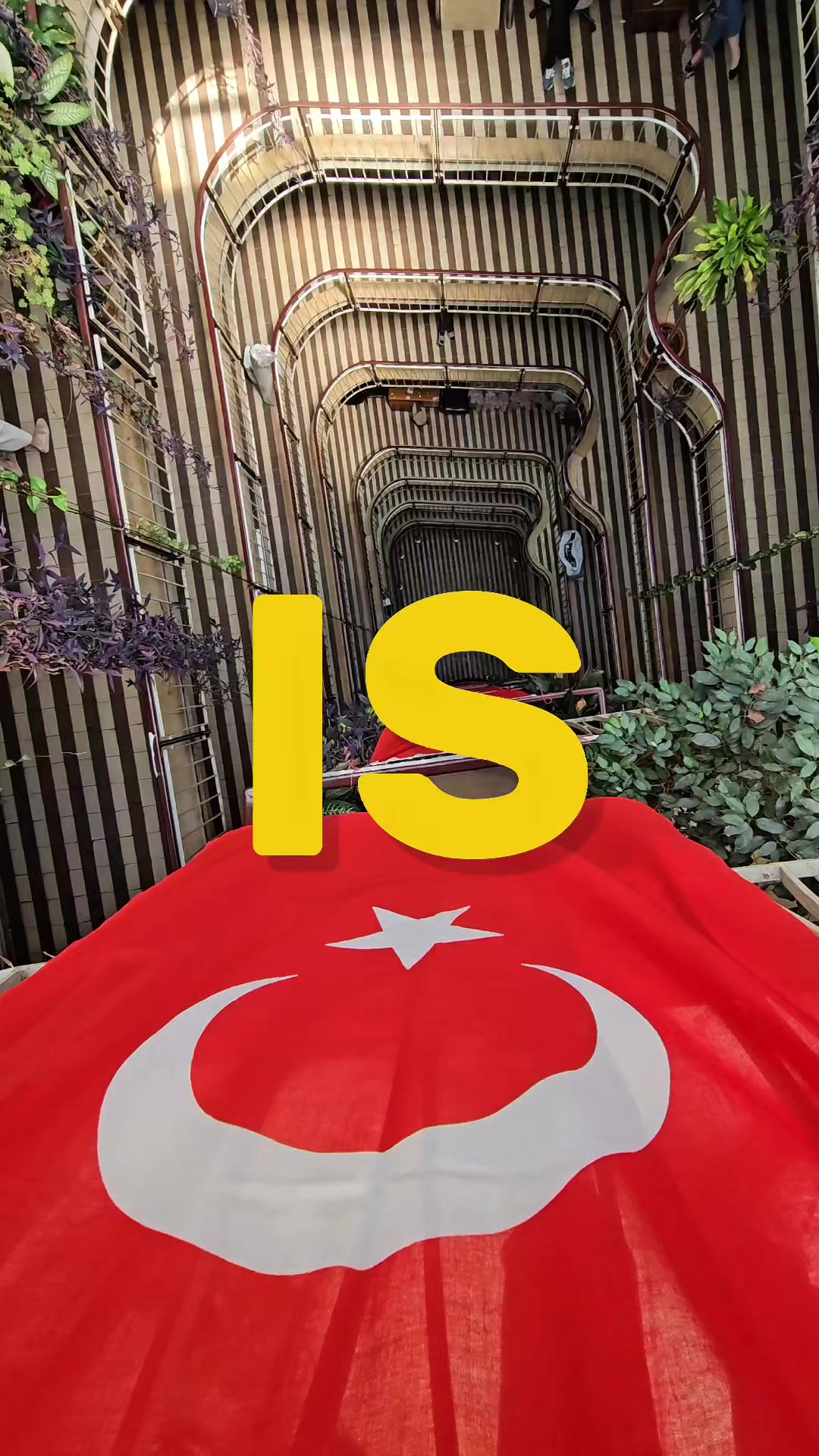 @Mehmet &Ccedil;etin