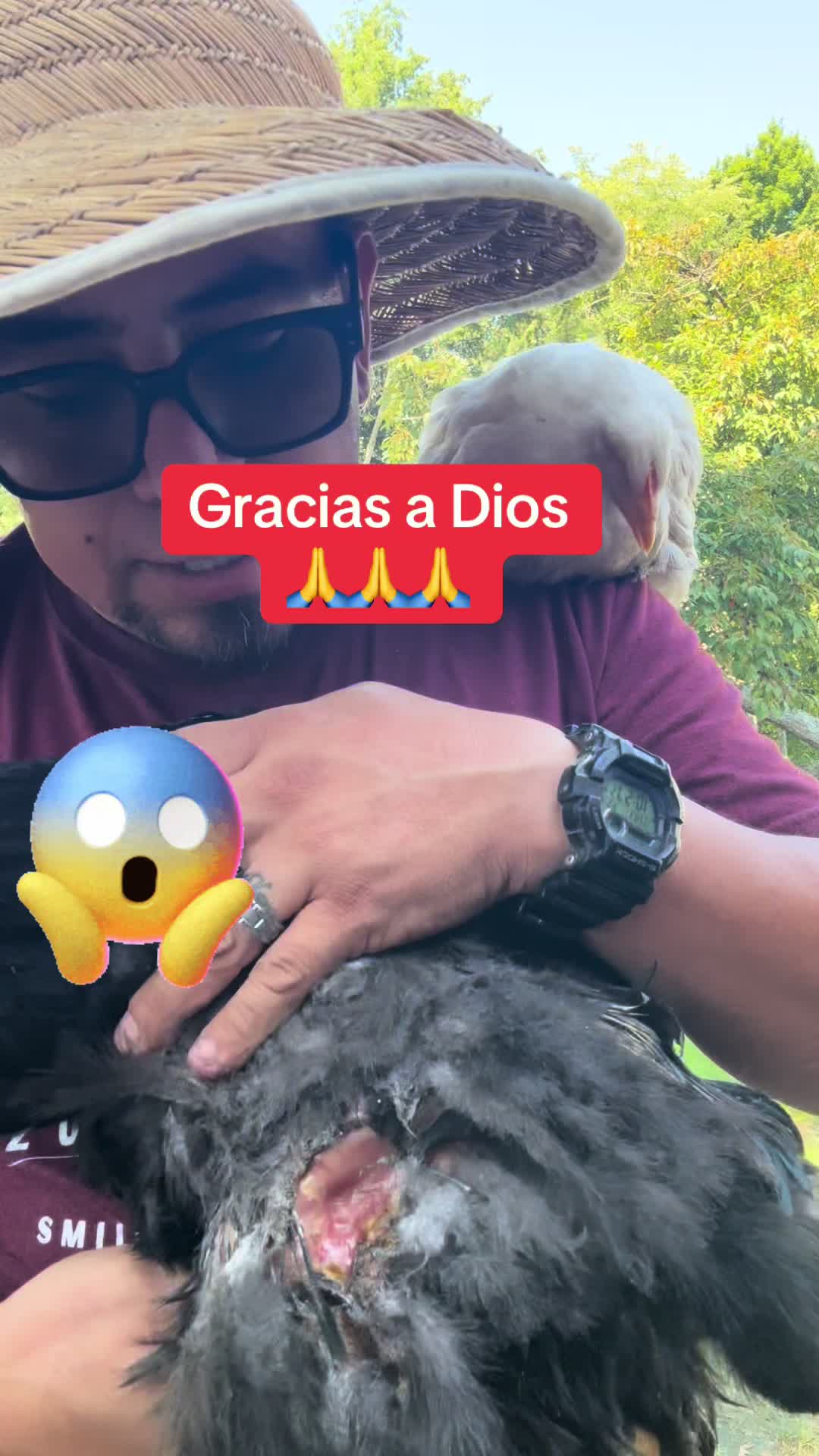 @WILSON DÍAZ