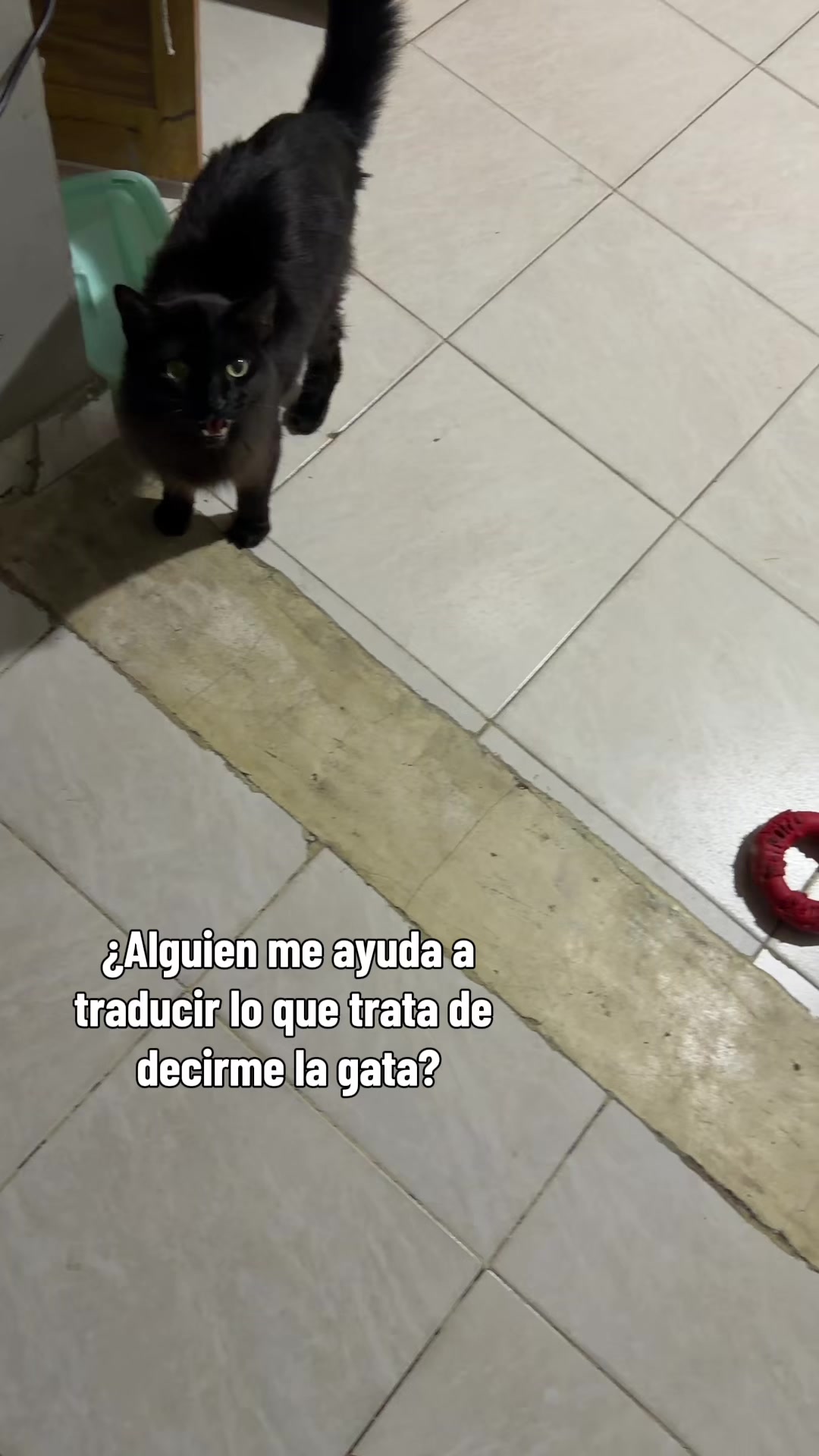 @María Betania