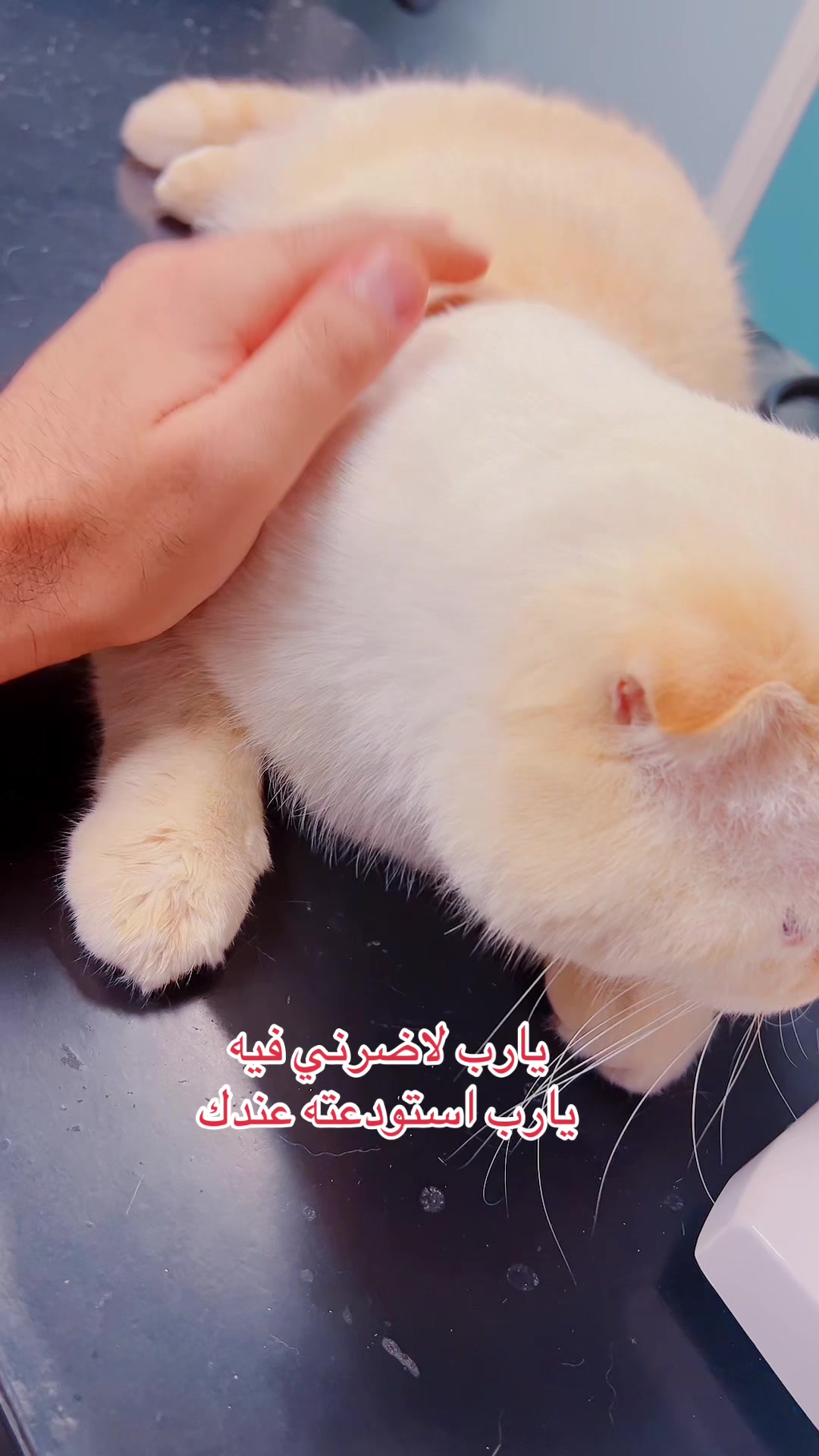 @Ibrahim😻Marius