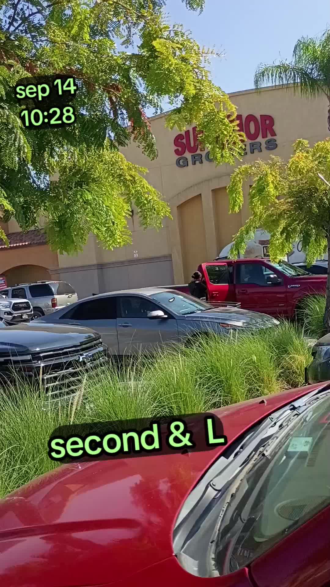 @chapis2479