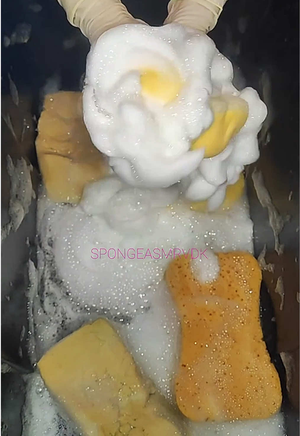 @HD Spongetok