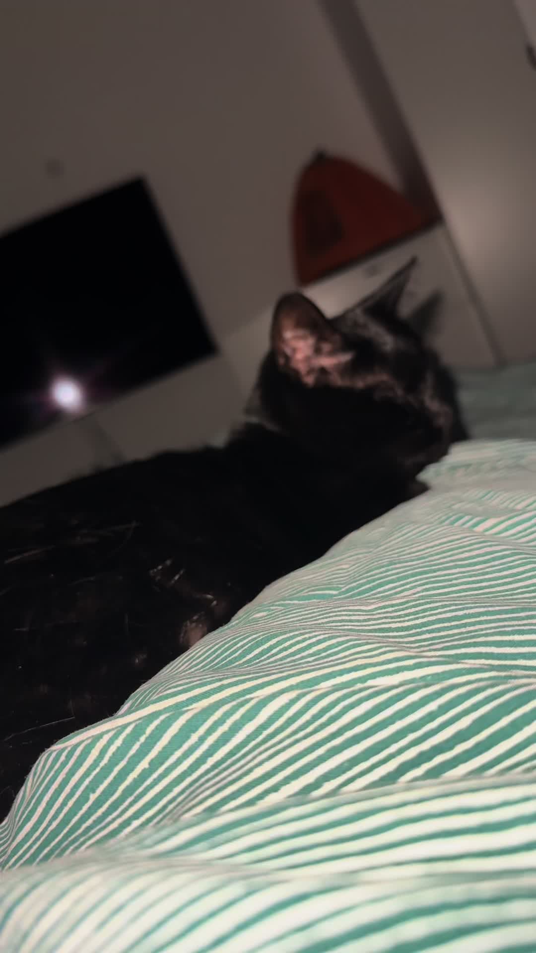 @StopImAlreadyDan