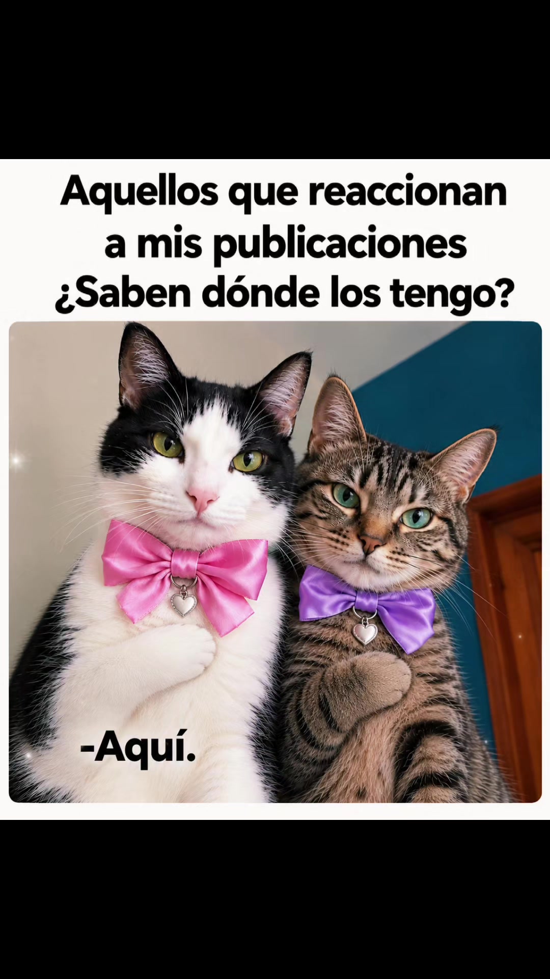 @TITA y RHODESIA