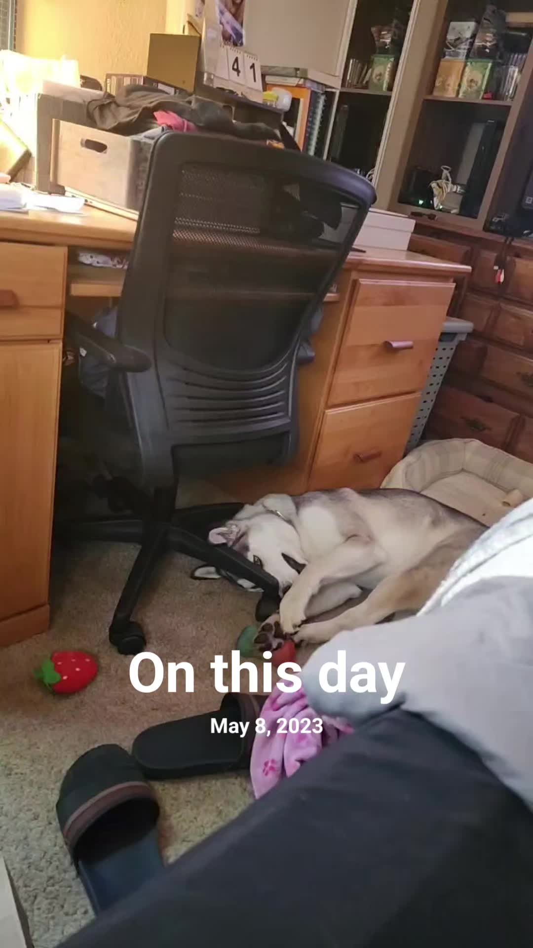 @PDX_DILL