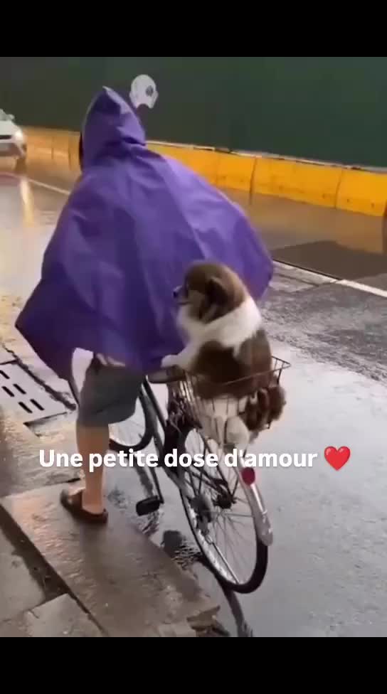 @Cidaneves. ❤???❤❤