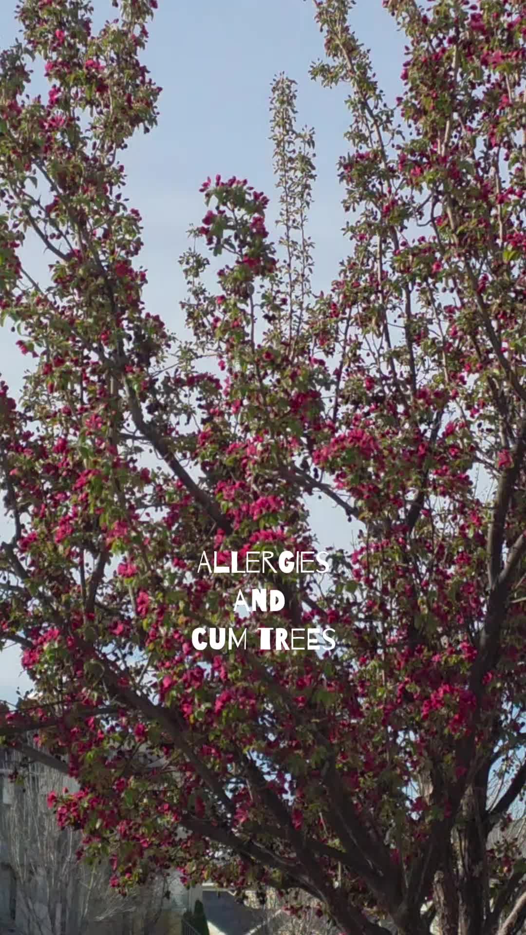 @April