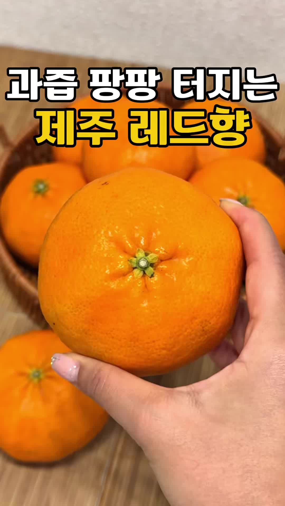 @싱싱햇 - 365일 싱싱한 햇 제철 먹거리