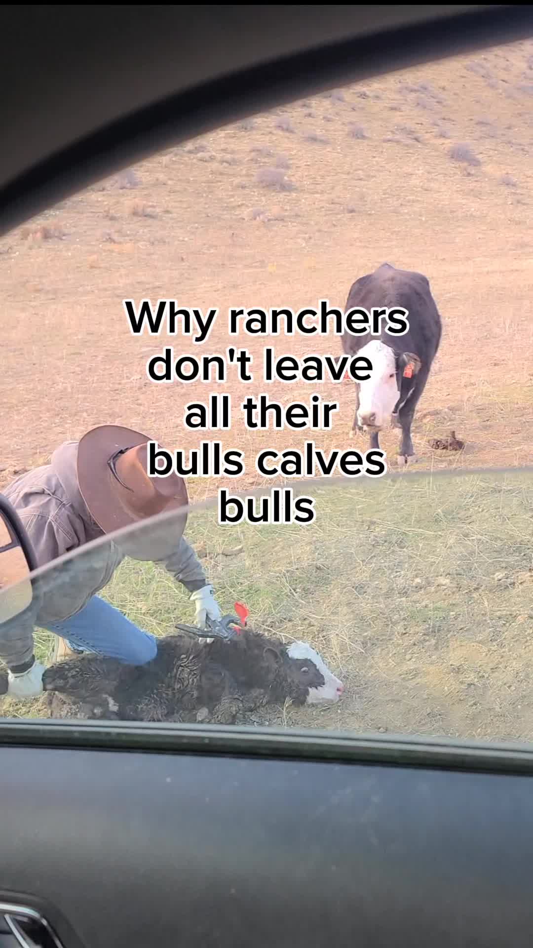 @ARanchersWife