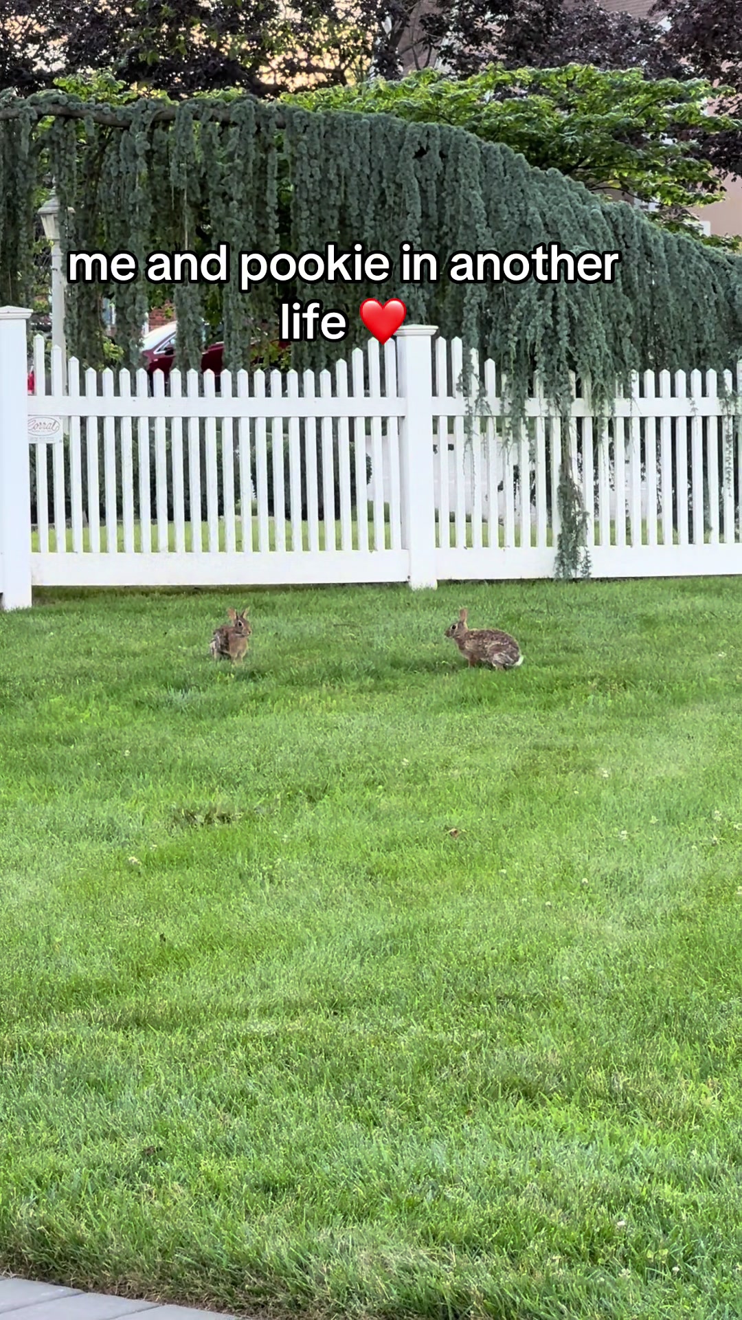@iffc111