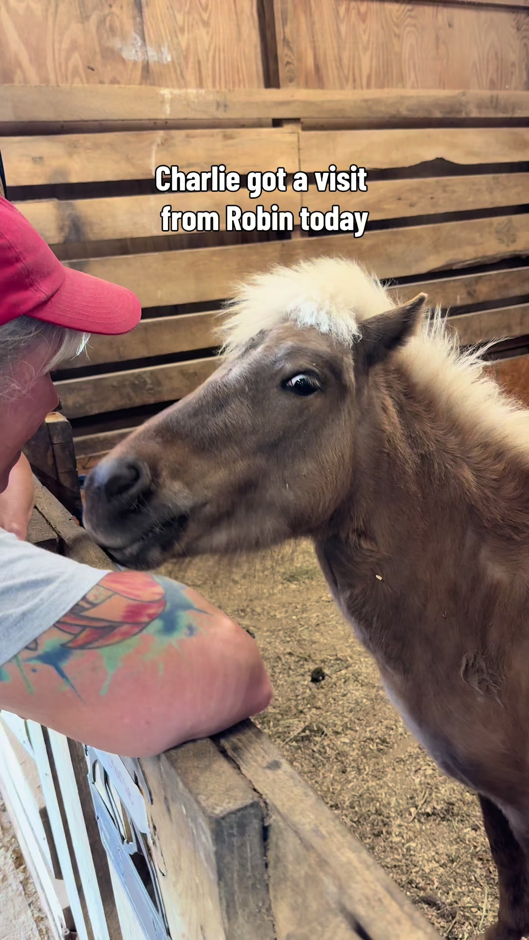@MS Horse Rescue