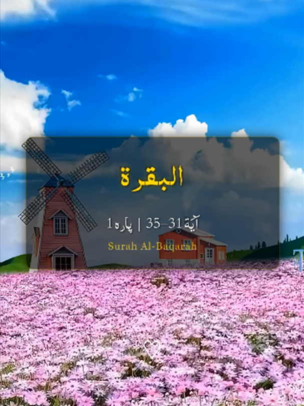 @❣️ Words of Allah ❣️