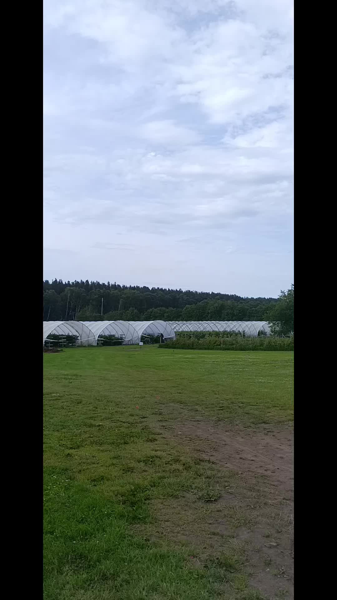 @AutoNina