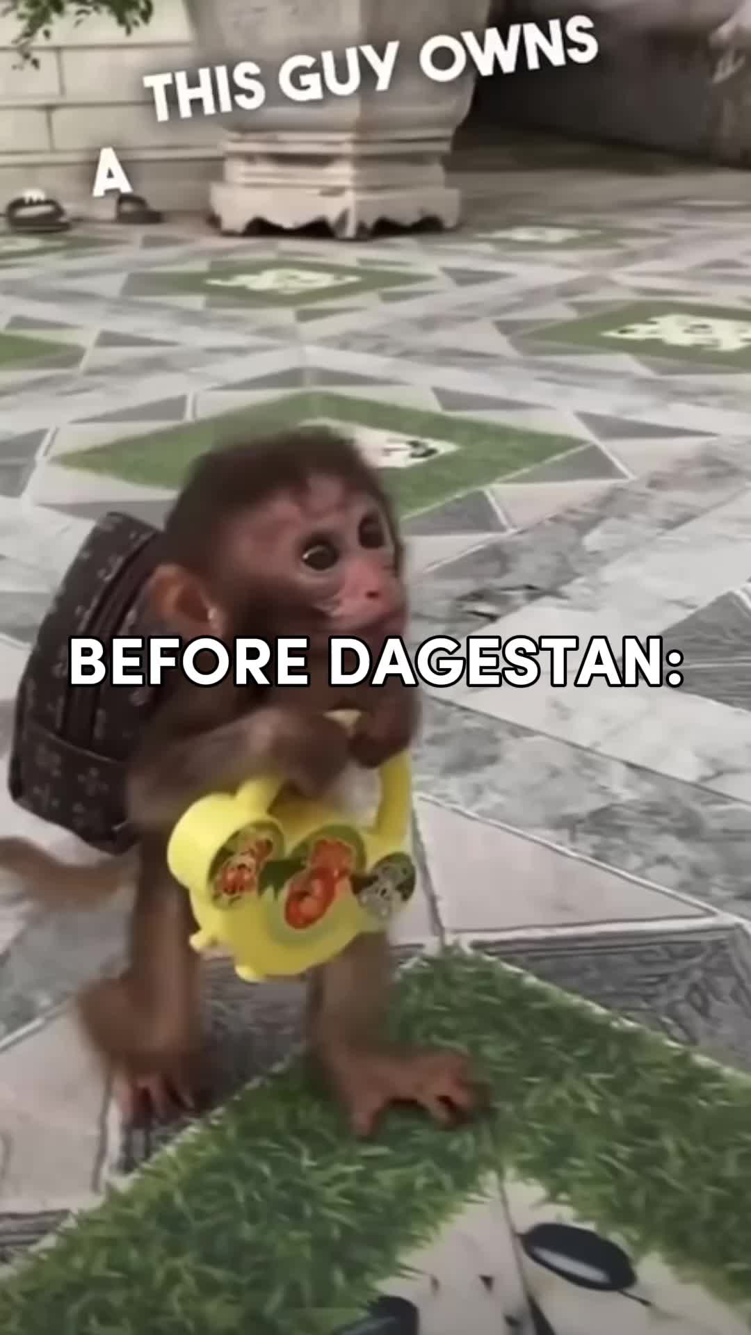@Noobmaster69