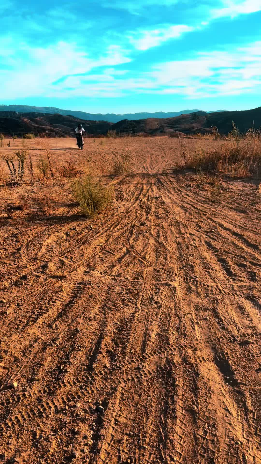 @🏍️Halle🐶