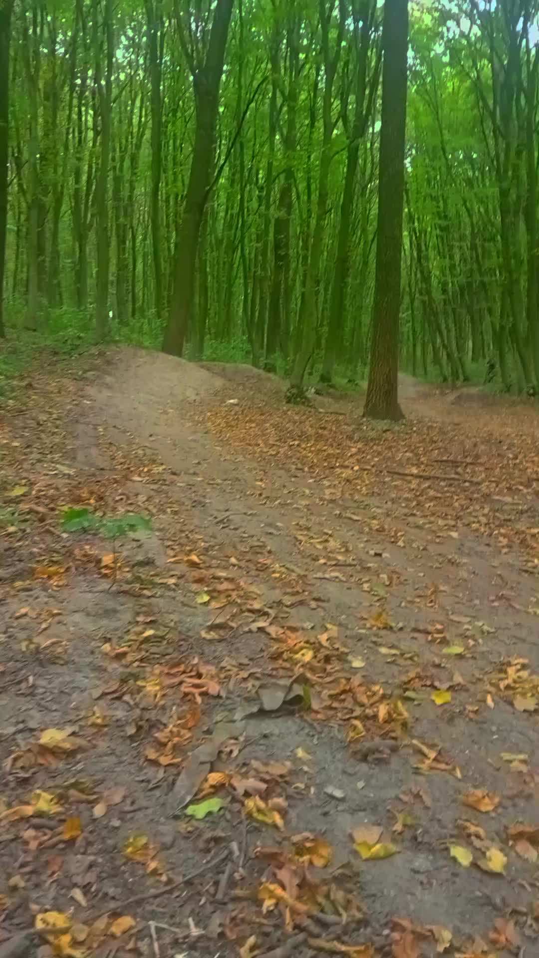 @poch1nok_0