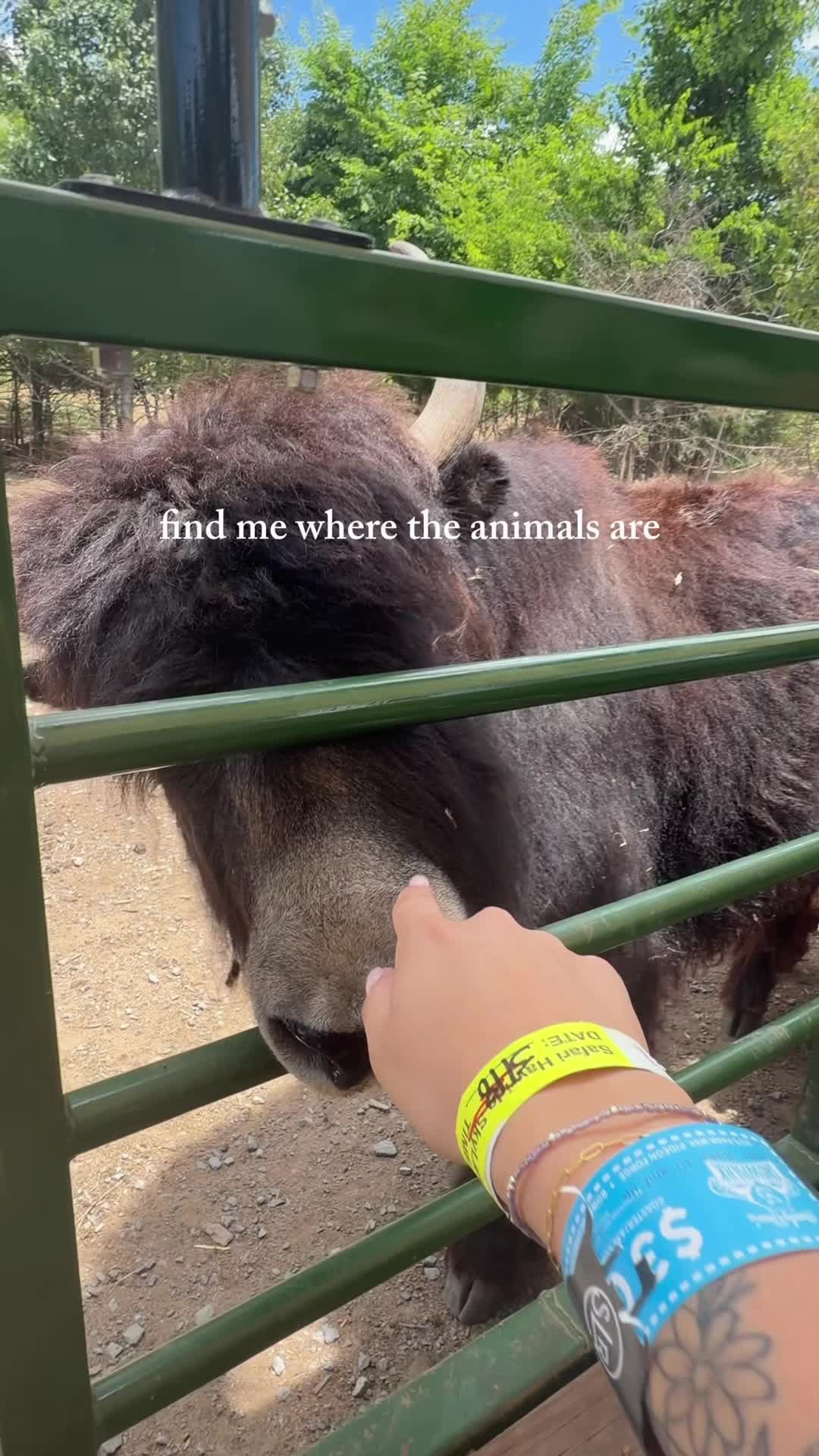 @alexa | 🫀cna