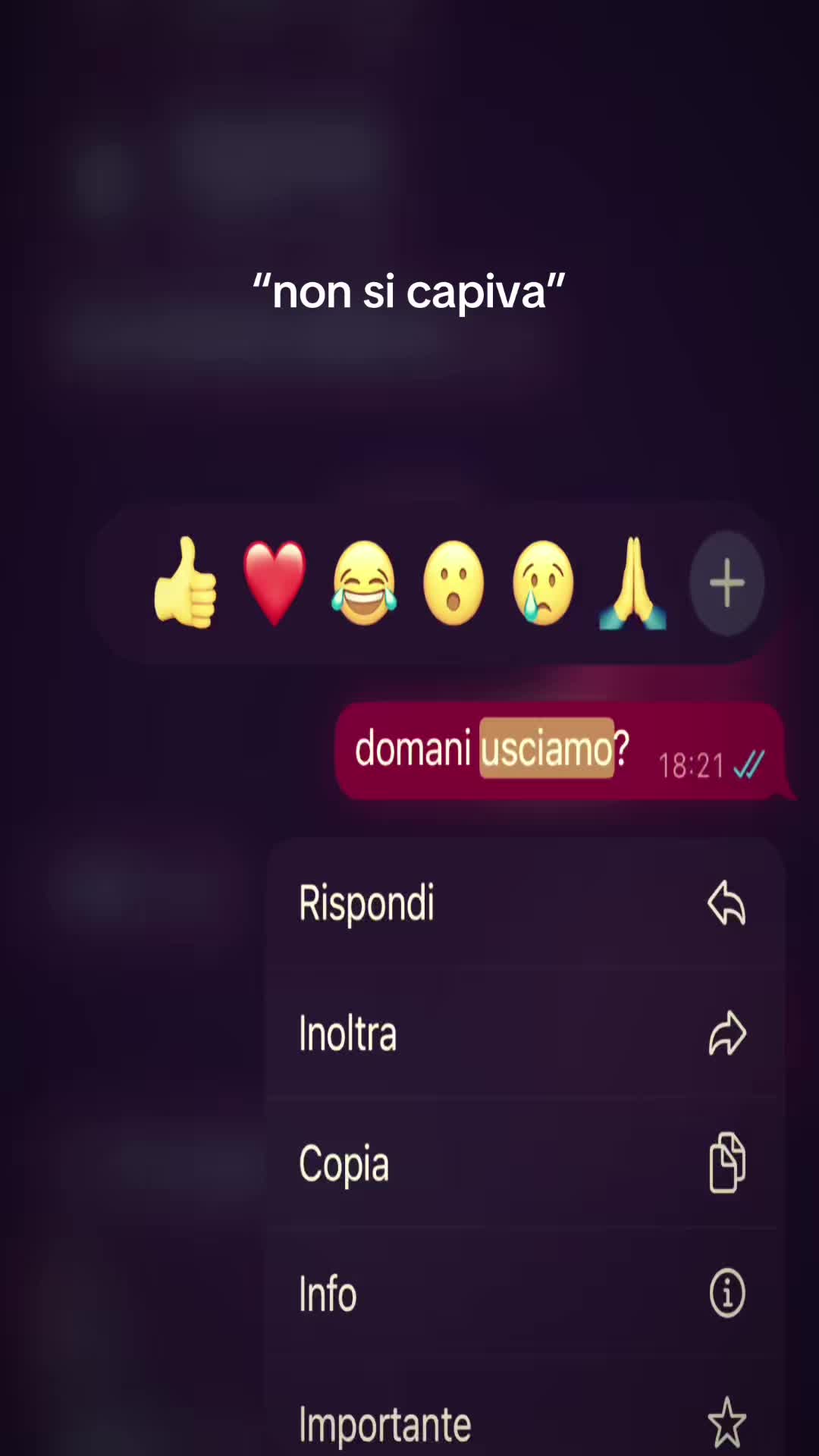 @🪽
