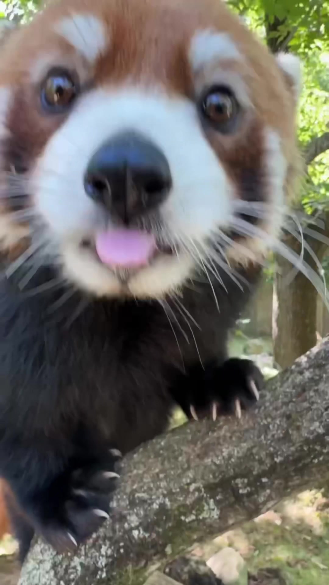 @Cincinnati Zoo