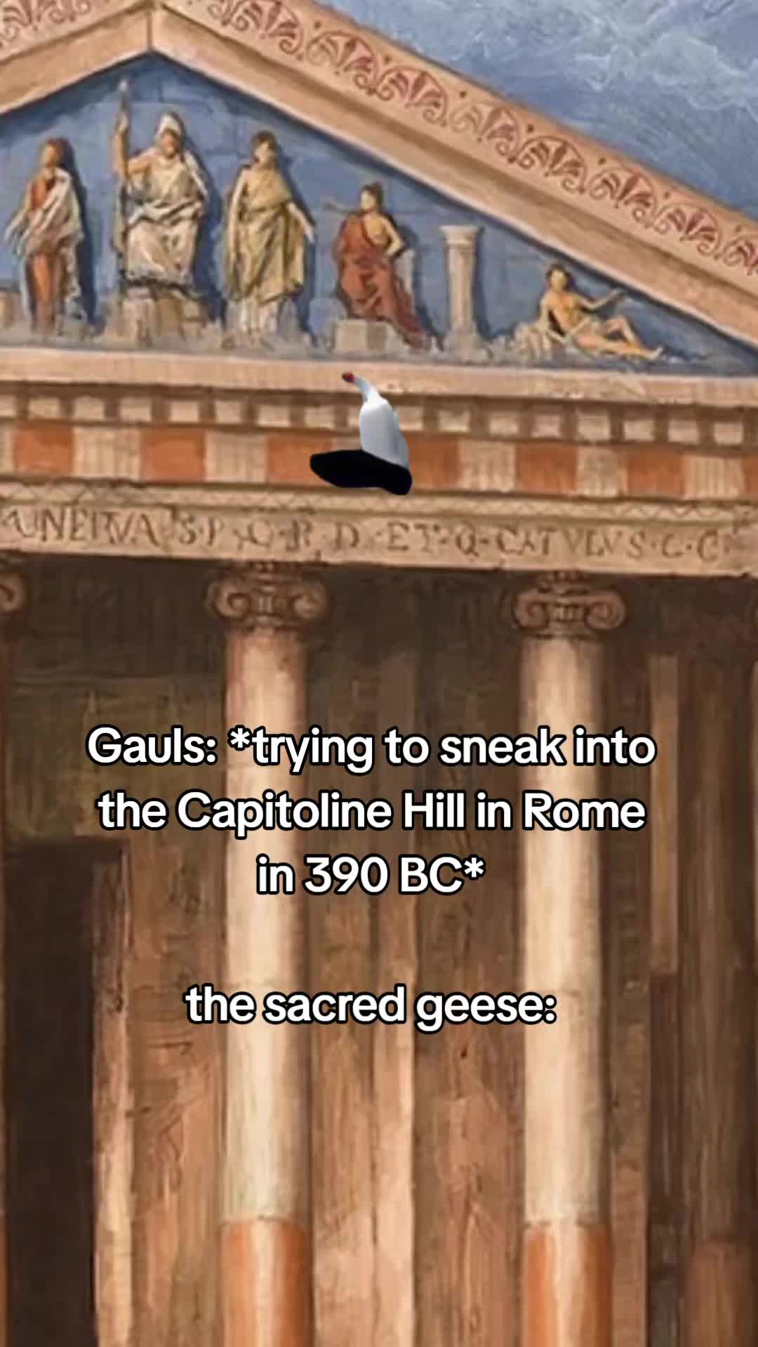 @Gaius Flavius 🏛