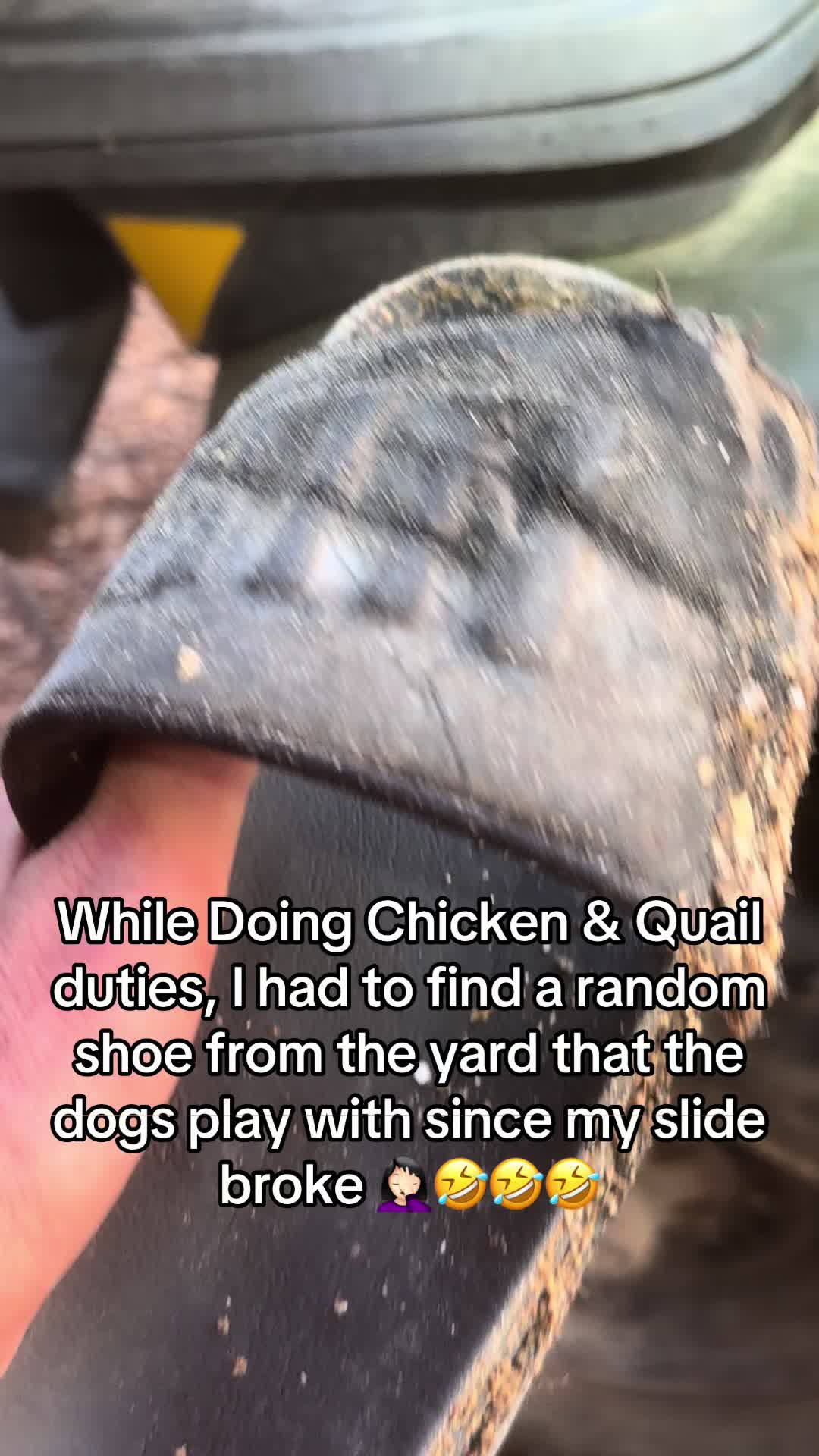 @NonniesFunnyFarm