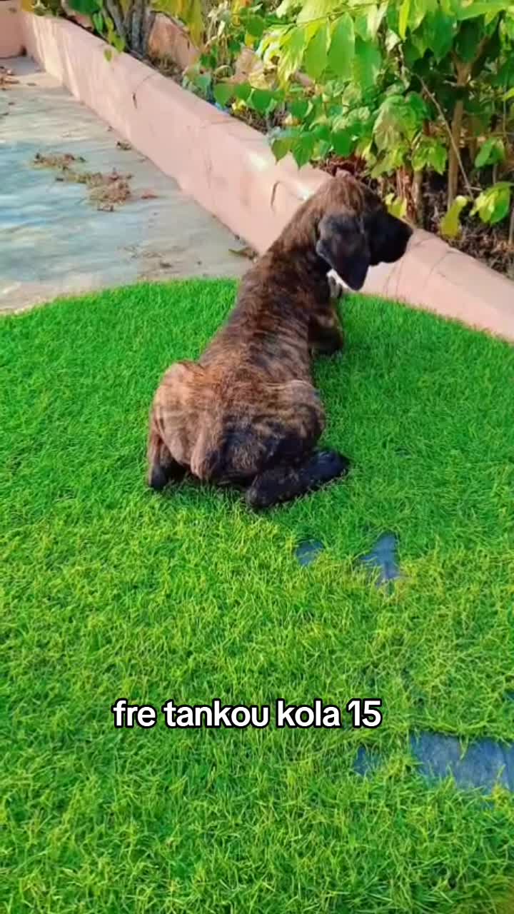 @Bendog