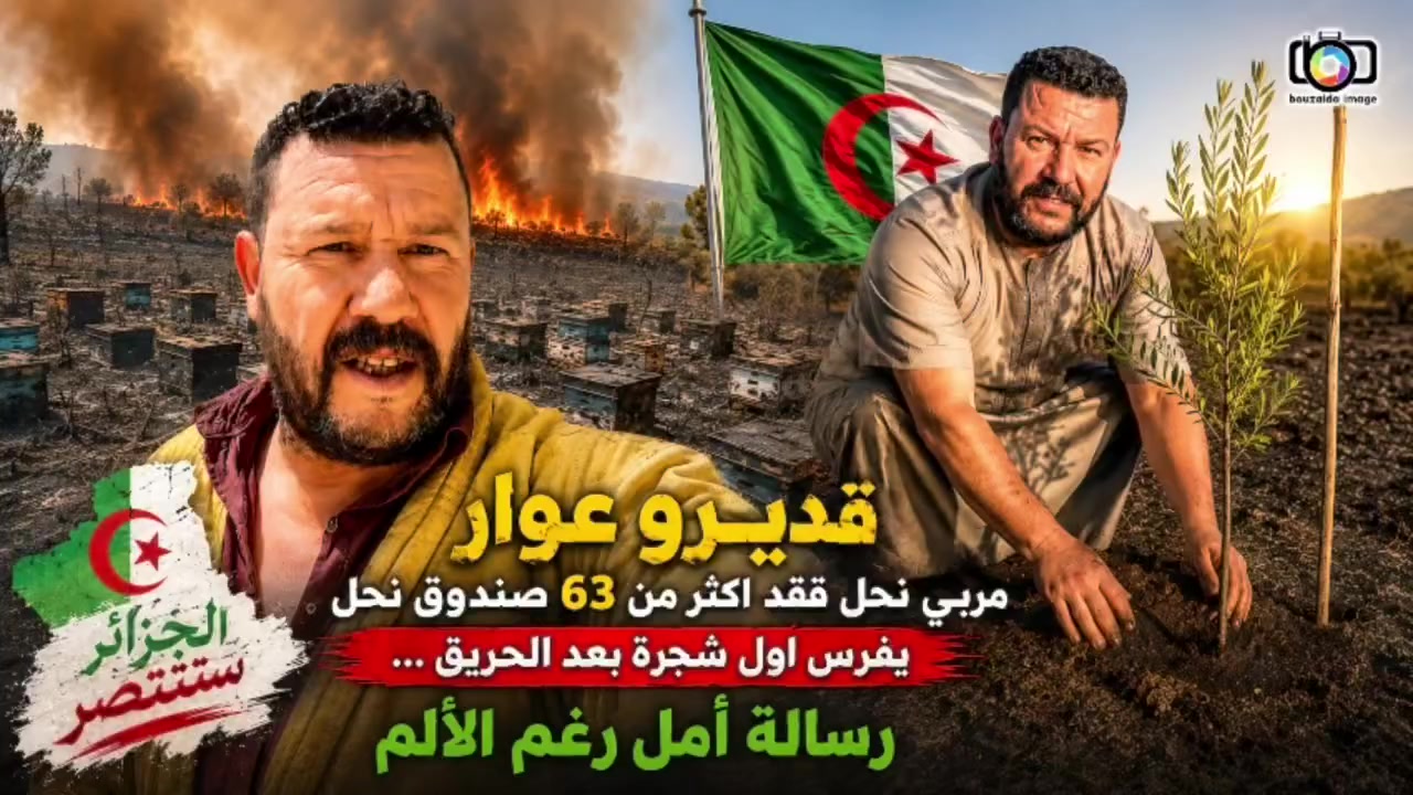 @Wael Aberrou - وائل عبيرو