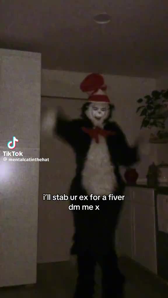 @cat in the hat