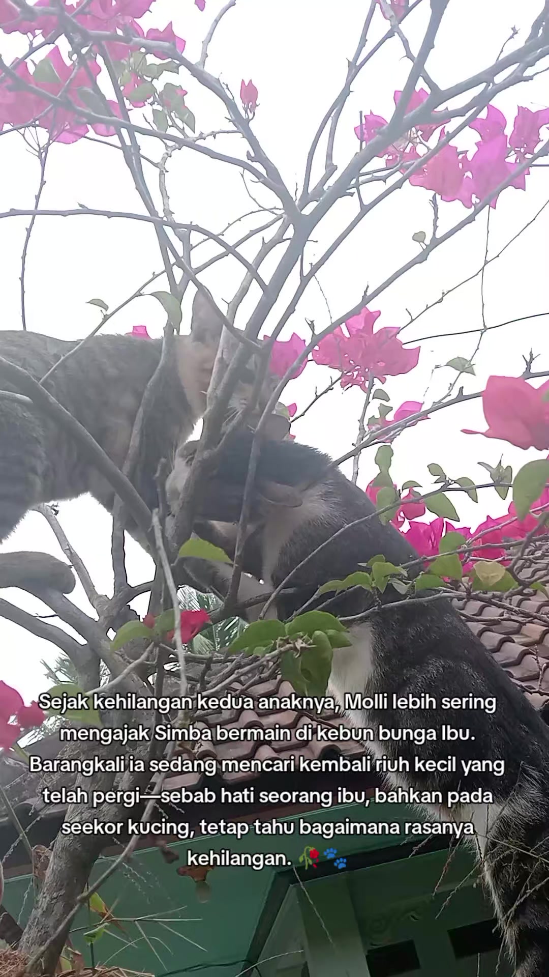 @Lina herlina
