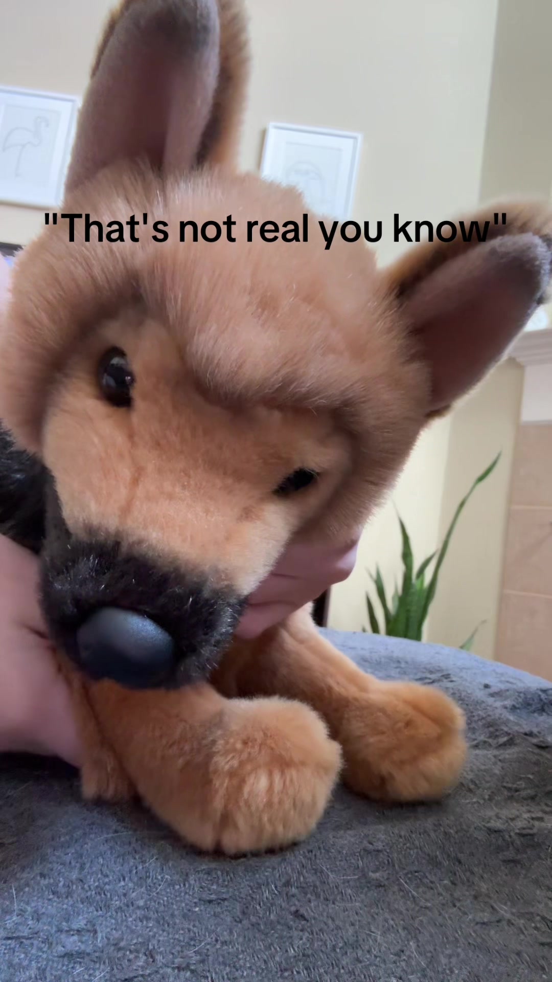 @~★🐾ᗪOᘜᑭᗩᗯՏ🐾★~