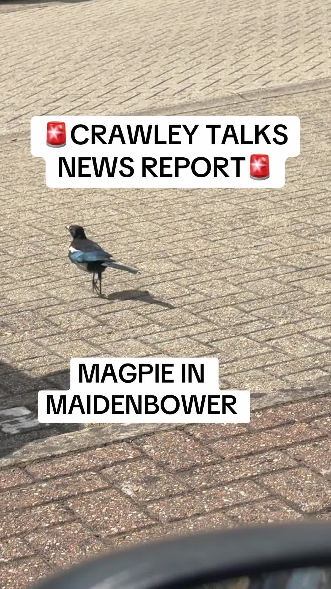 @louscore