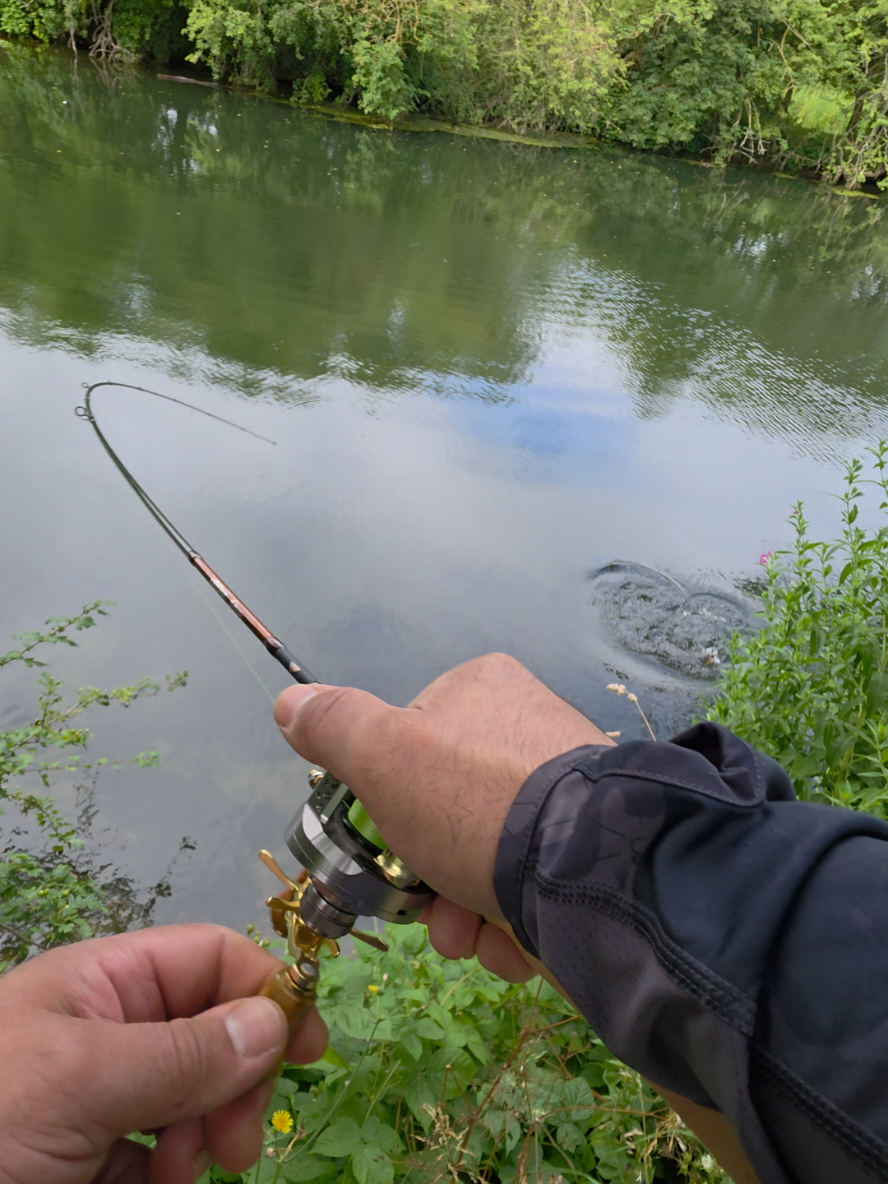@BF Angler