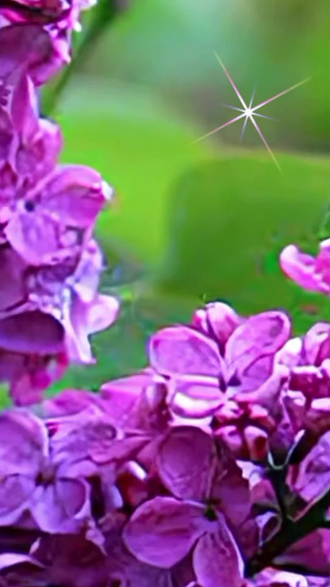 @user1675550211969