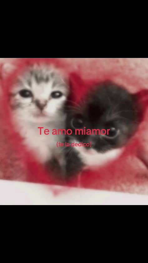 @michu