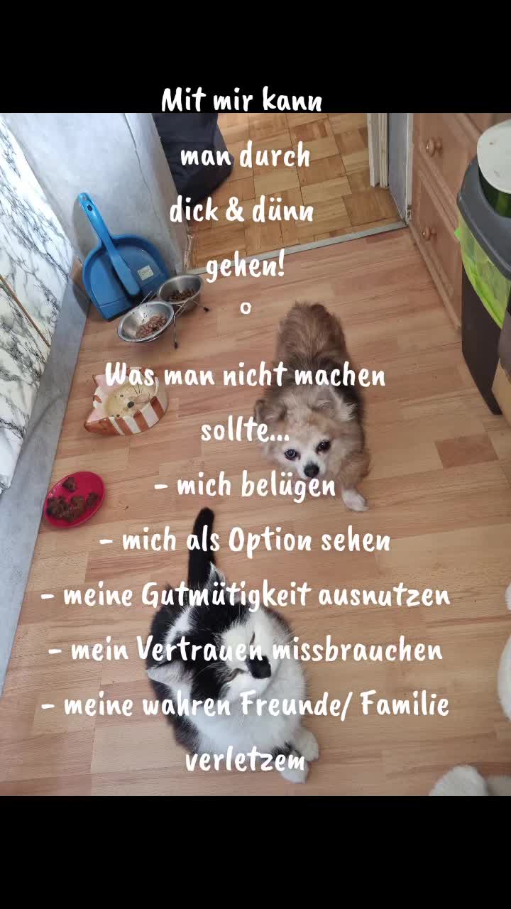 @pralinchen66