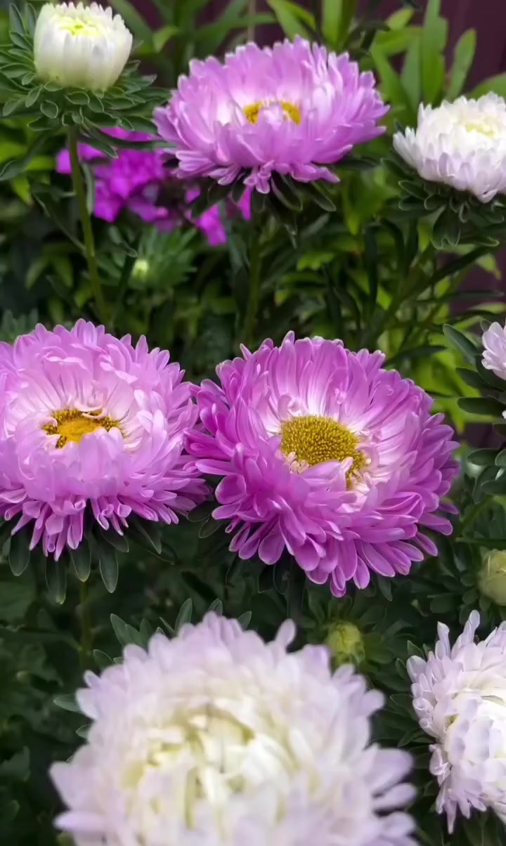 @🇰🇿🌺🌸Нᴀᴛᴀᴧья🌸Kz.16_ukg👋🤝