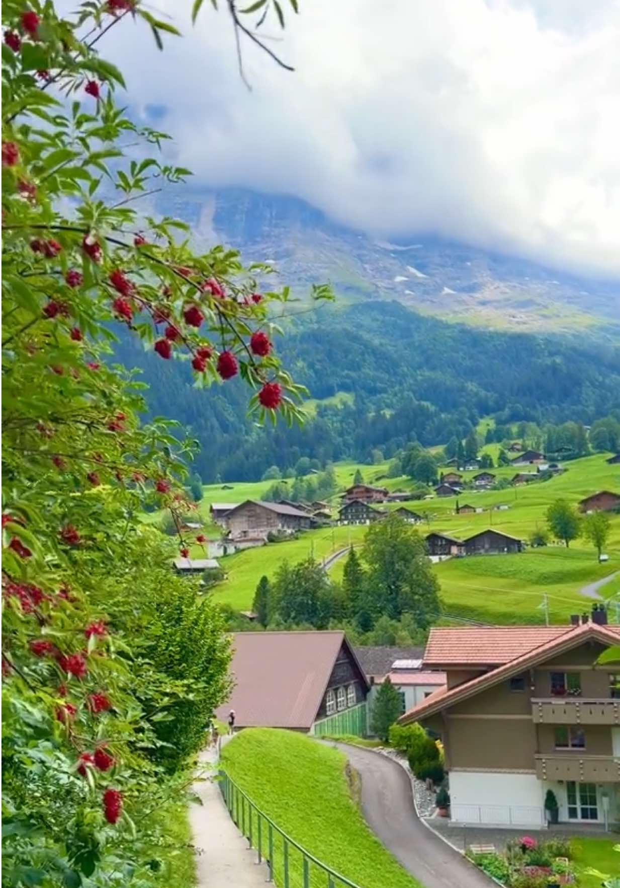 @S_hassani🦋🇨🇭
