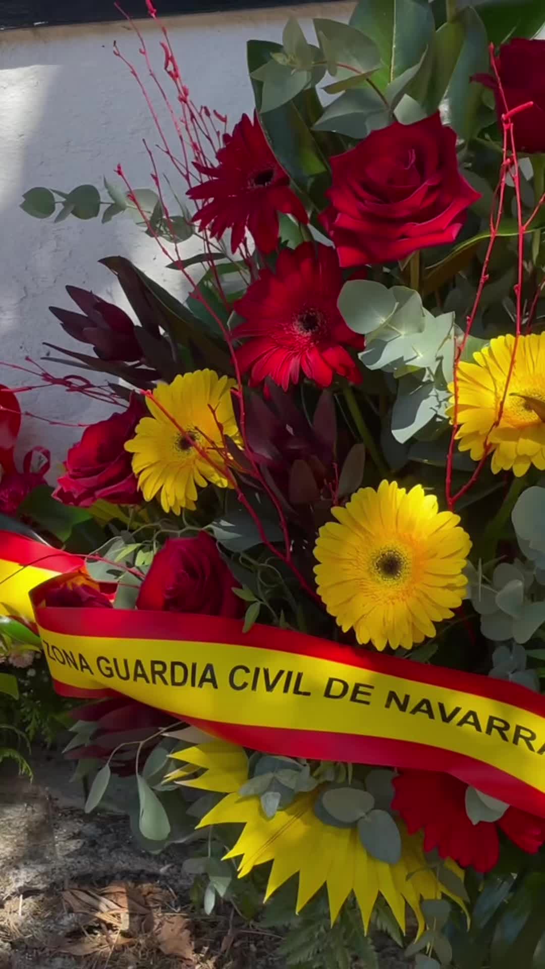 @Guardia Civil Navarra