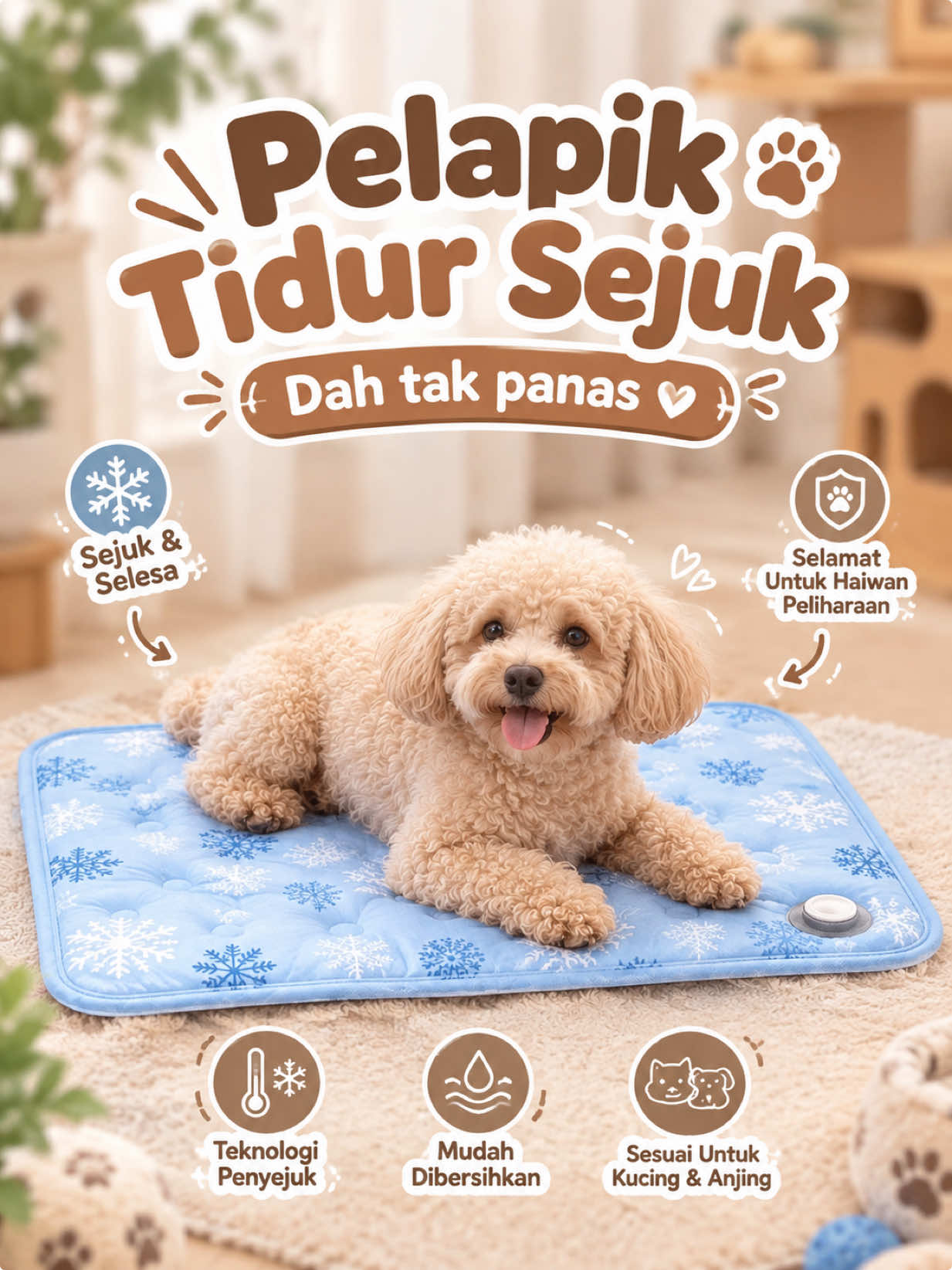 @KUCING SAYA MAJIKAN SAYA|BIHA