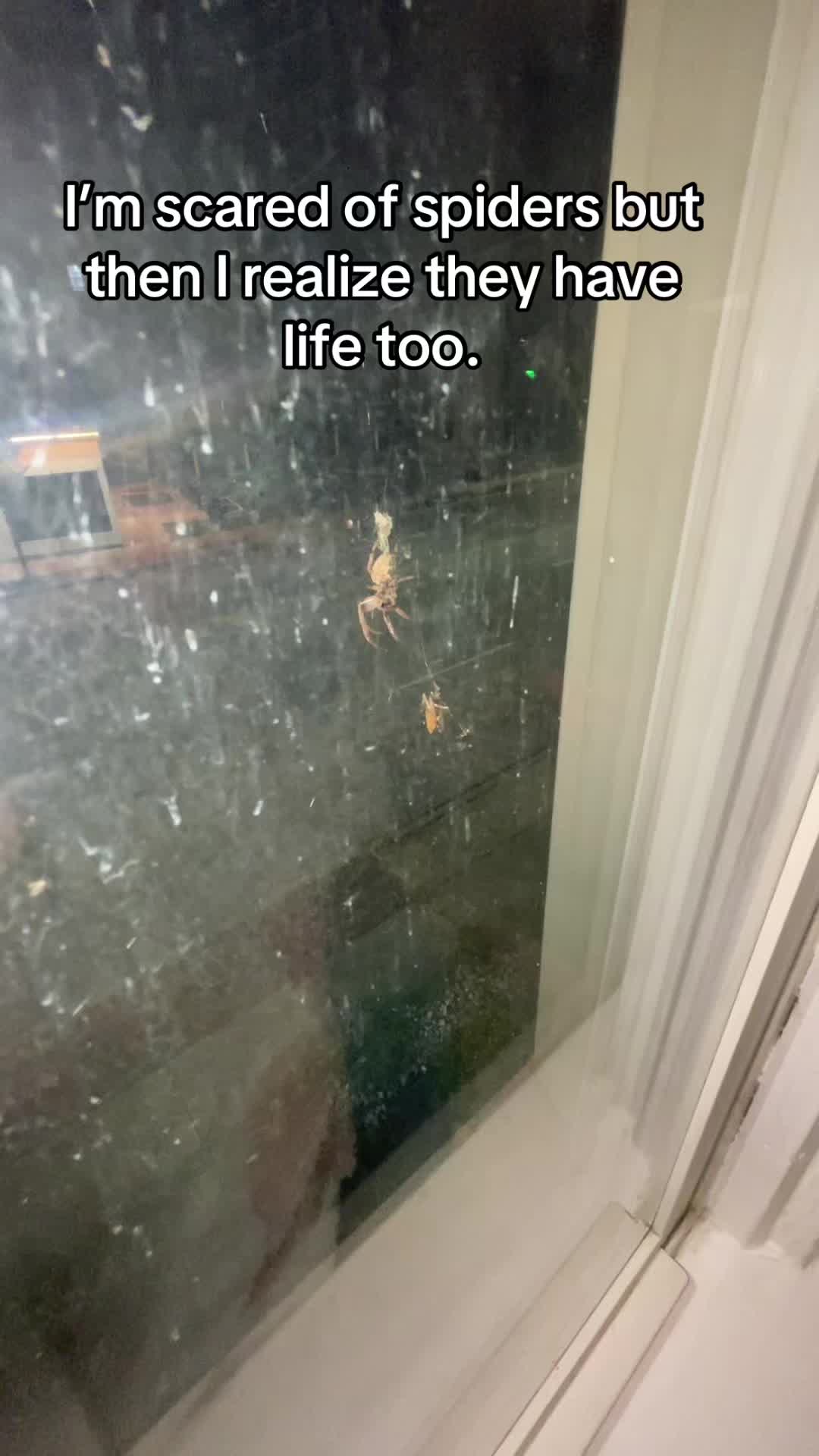 @L I L Y