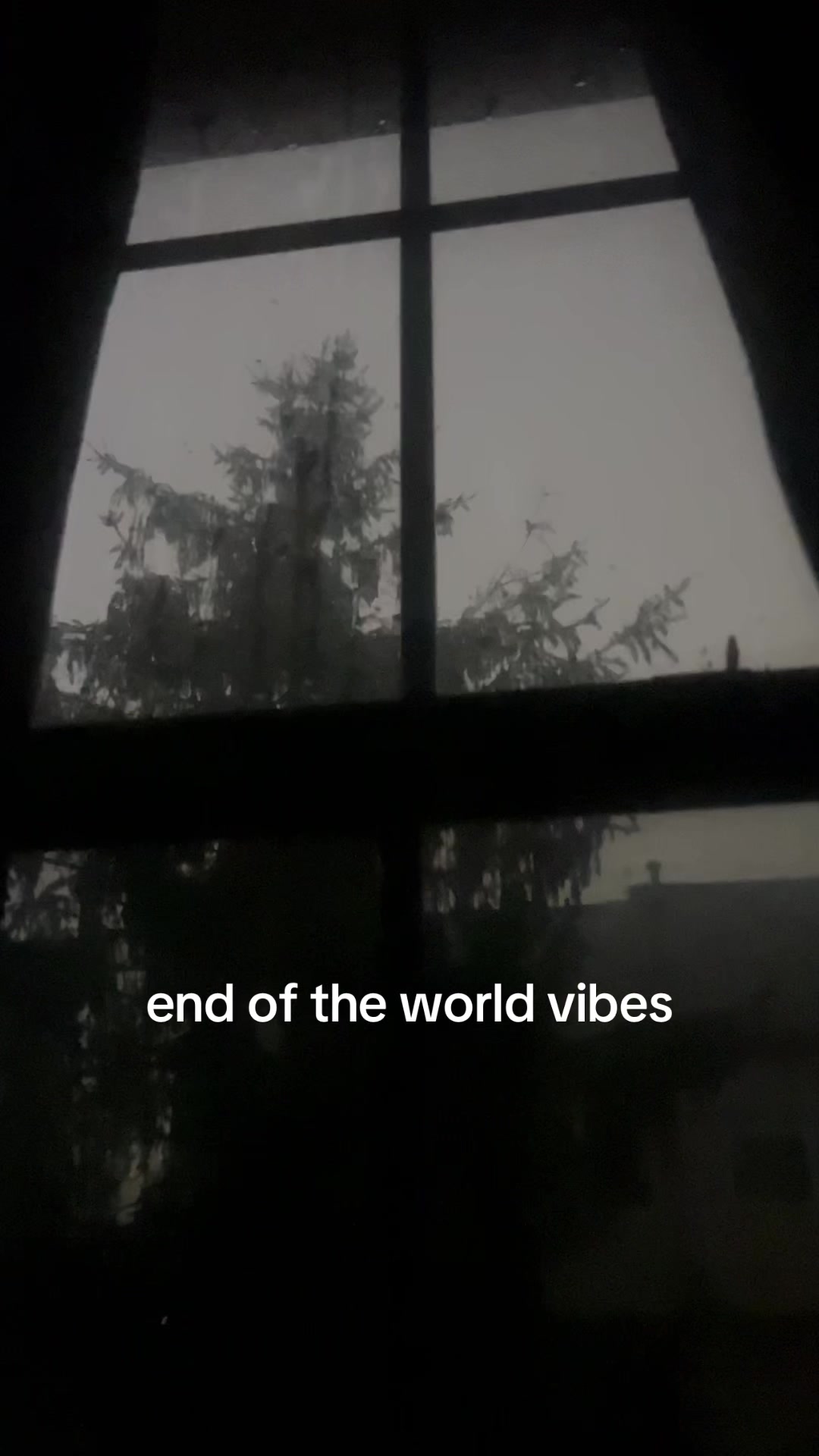 @liza♡