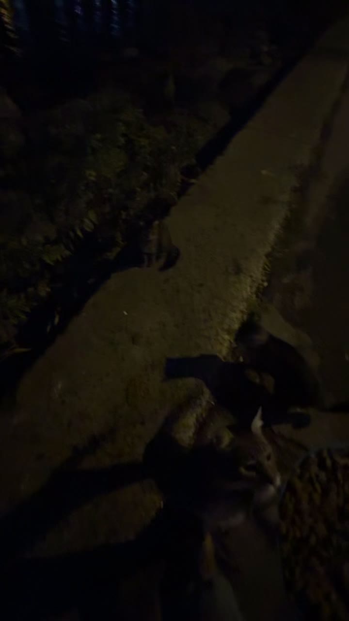 @Salim Kuntoğlu