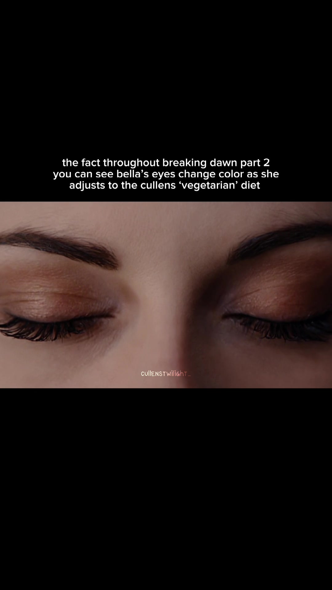 @ꩇׁׅ݊ɑׁׅ֮ꫀׁׅ || twilight saga ❦